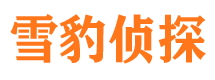 汝阳外遇出轨调查取证